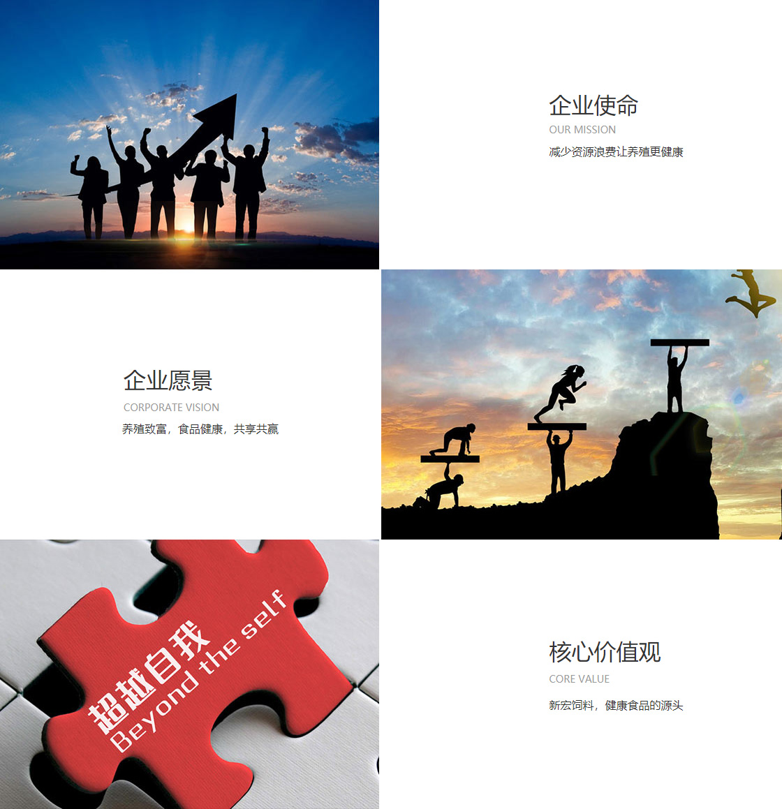 开云登陆入口(图1)
